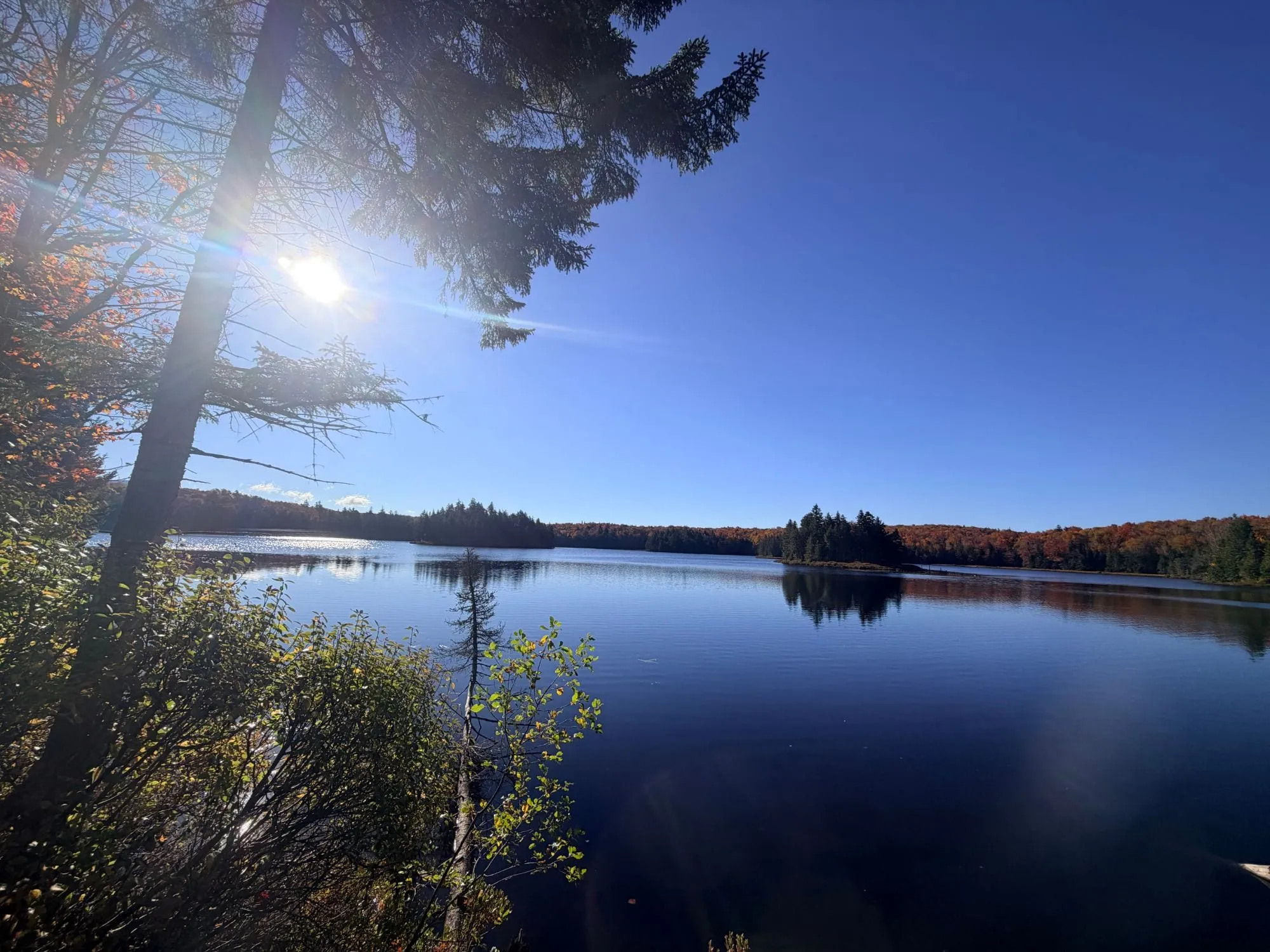 A calm lake surrounded by fall foliage under a bright blue sky
