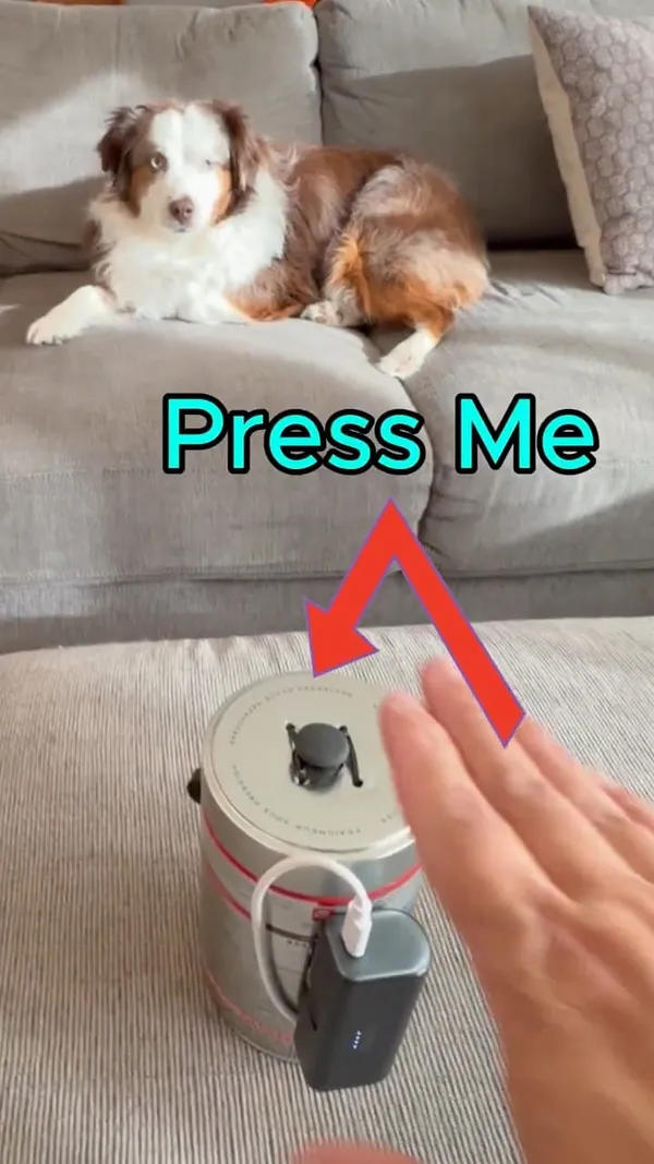 A hand reaching for the button on top of Jordan, with a dog in the background