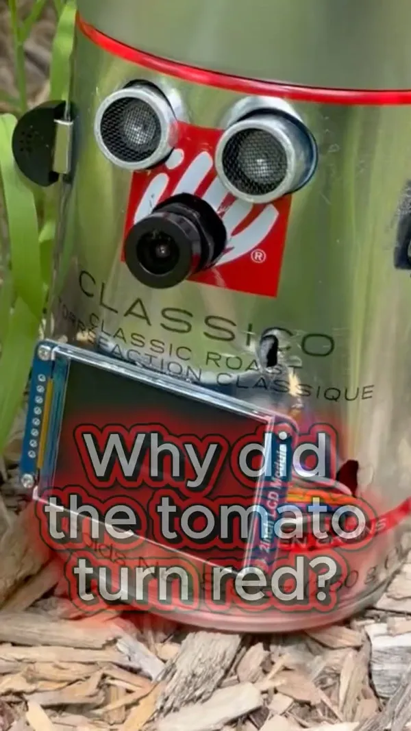 Close-up of Jordan asking why the tomato turned red